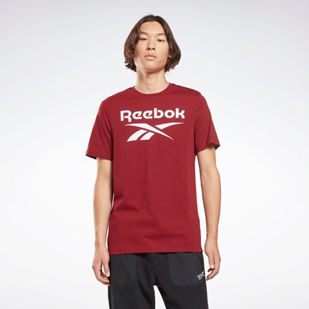 https://www.reebokmexico.com.mx/images/reebokmexico/Reebok_Reebok_Identity_Big_Logo_T_Shirt_-WXJ-187296.jpg
